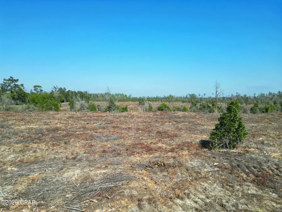 TBD SW Lot #2, Sw County Road 275, Blountstown, FL 32424 - #3