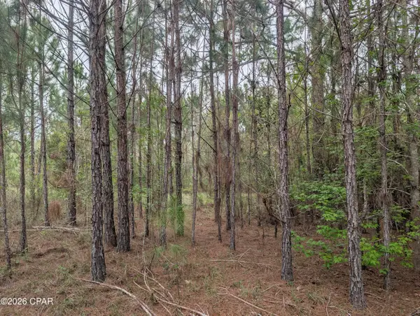 0 Sumac Road #Lot 49, Westville, FL 32464