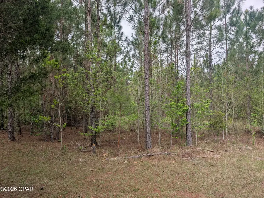 0 Sumac Road #Lot 49, Westville, FL 32464 - #2