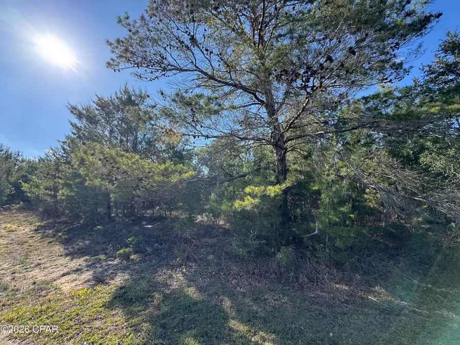 Lot 12 Colmart Drive #19, Chipley, FL 32428 - #2