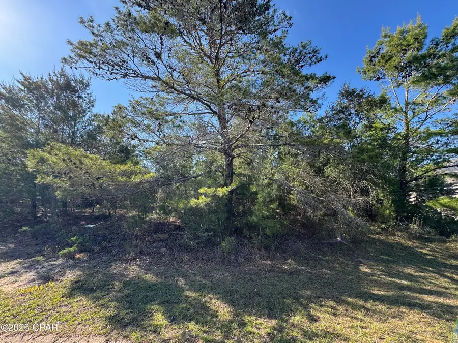 Lot 12 Colmart Drive #19, Chipley, FL 32428 - #3