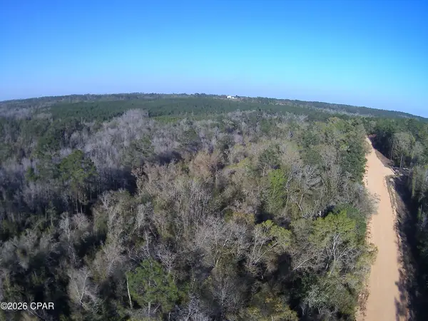 TBD Olivia Drive, Alford, FL 32420