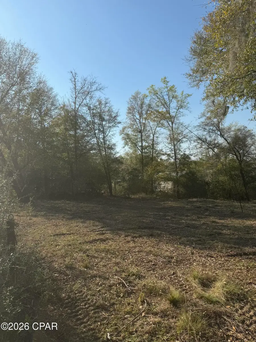 9219 S Silver Lake Road, Fountain, FL 32438 - #3