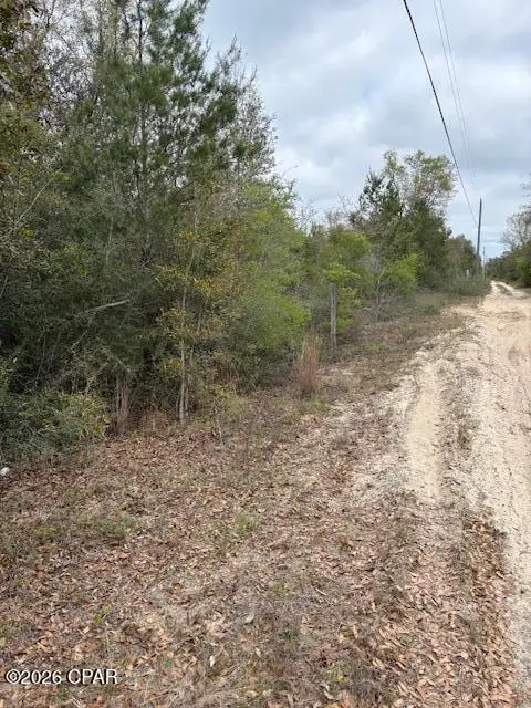 na Pecan Shadows Drive, Youngstown, FL 32466 - #3