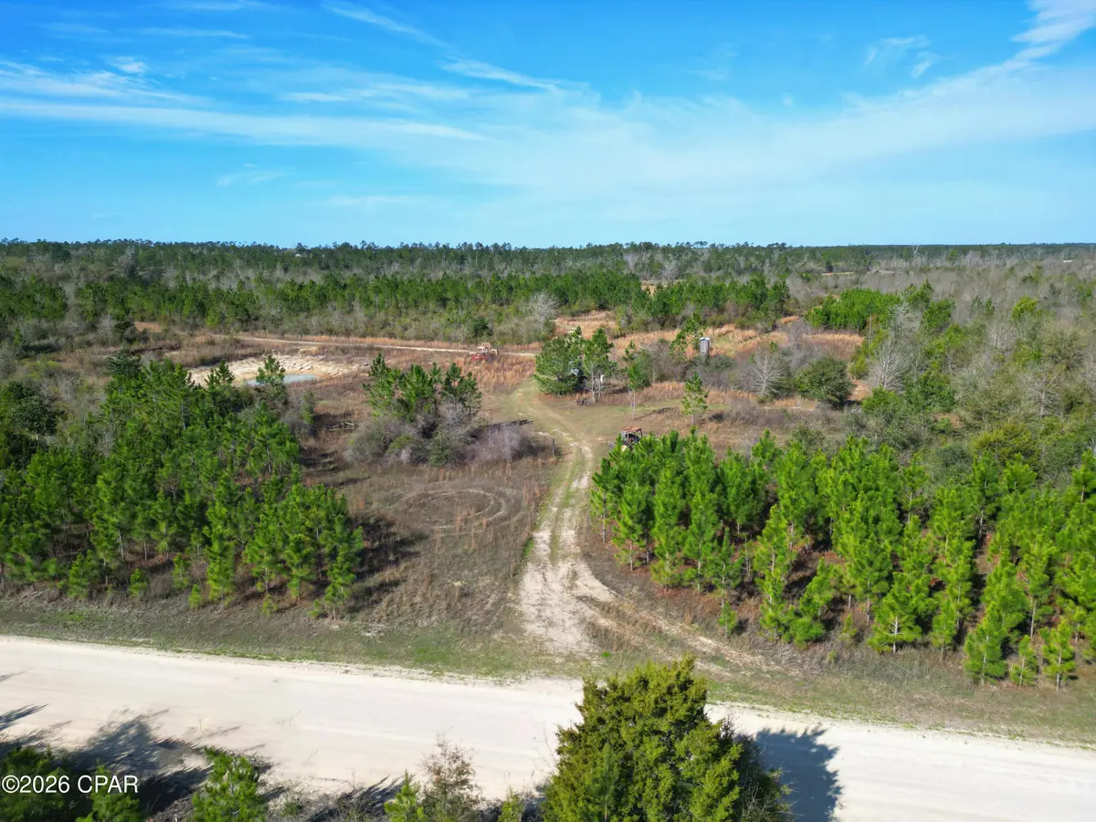 XX Cook/cain Road, Clarksville, FL 32430 - #1