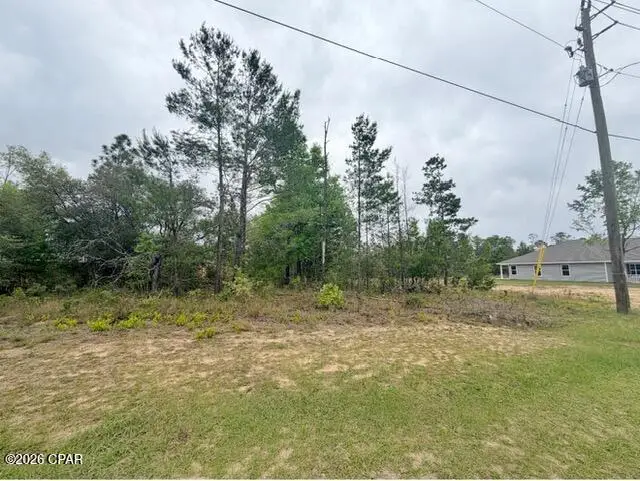 Lot 22 Shenandoah Boulevard, Chipley, FL 32428 - #1