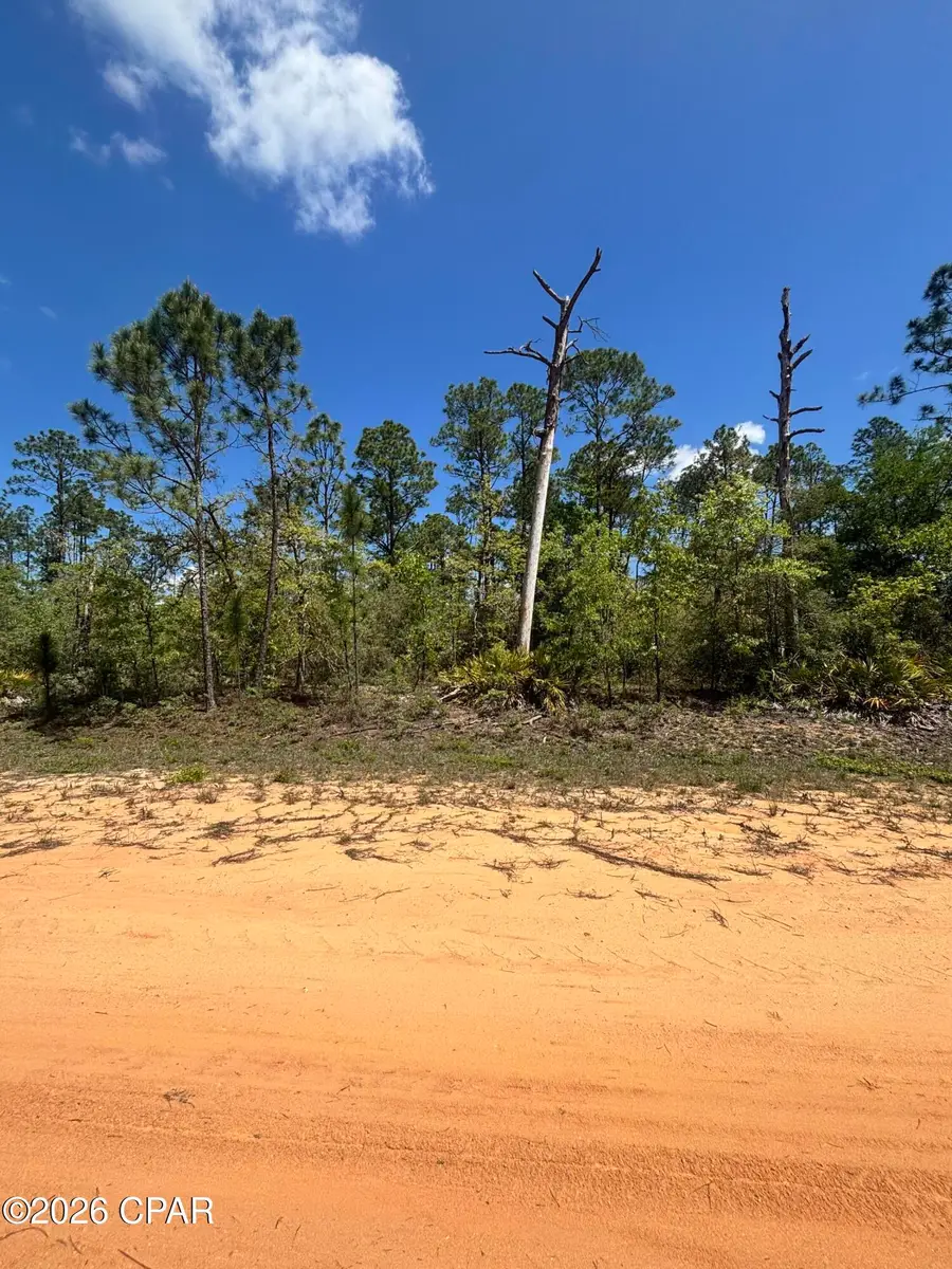 00 Fremont Avenue, Alford, FL 32420 - #3