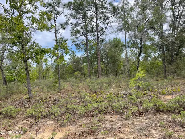Lot 10 Aquarius Drive, Chipley, FL 32428