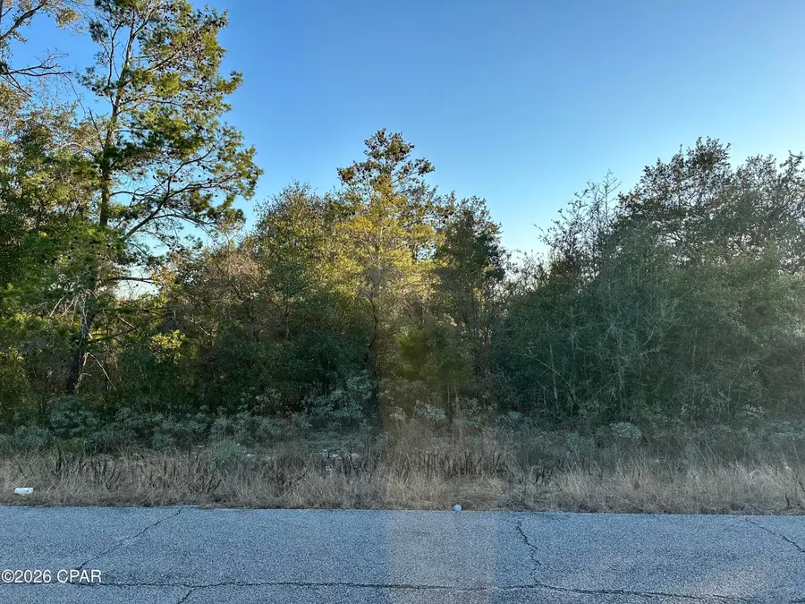 Lot 2 Clarion Street, Chipley, FL 32428 - #3
