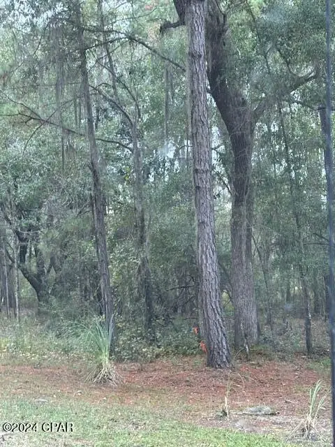 0000 Everest Drive, Chipley, FL 32428 - #3