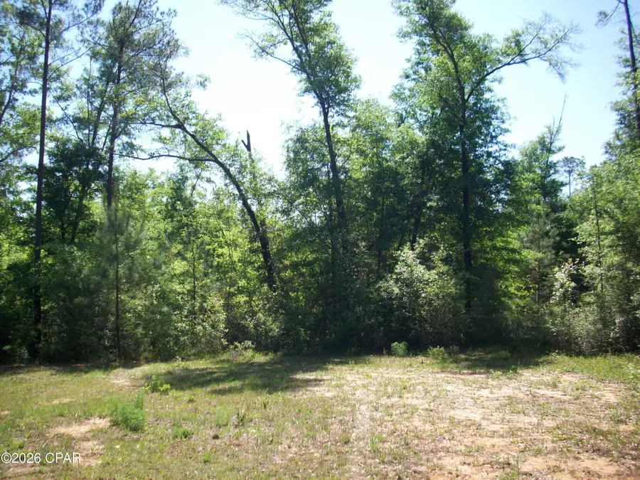 0000 Davis Ct, Alford, FL 32420 - #3