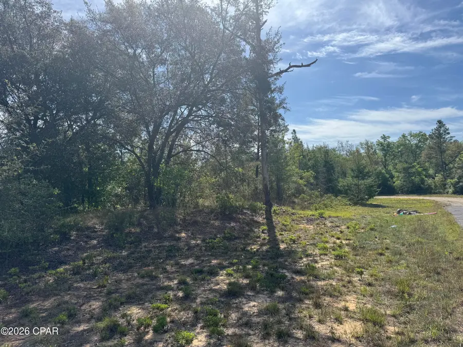 0000 Patroon Place, Chipley, FL 32428 - #3