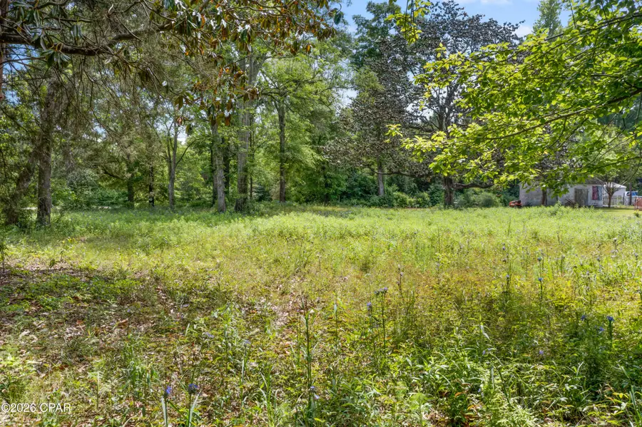 XXX Forest Drive, Graceville, FL 32440 - #2