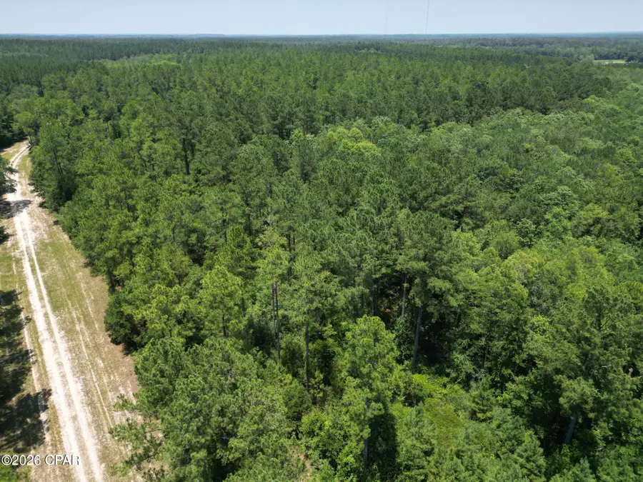 Lot 88 Turkey Oak Trail, Bonifay, FL 32425 - #2