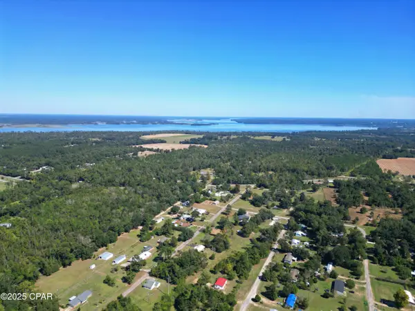 7868 Suellen Street, Sneads, FL 32460