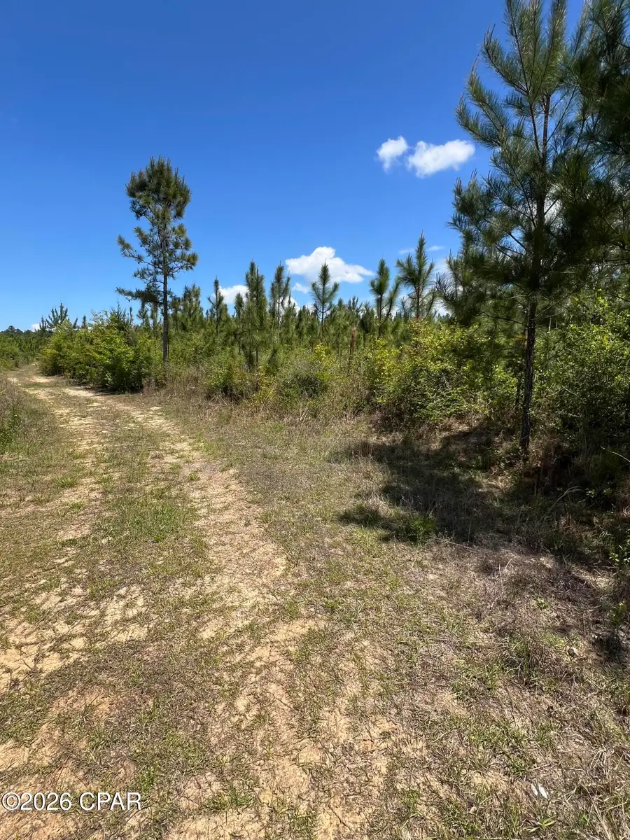 0 Goodman Hill Road, Chipley, FL 32428 - #3