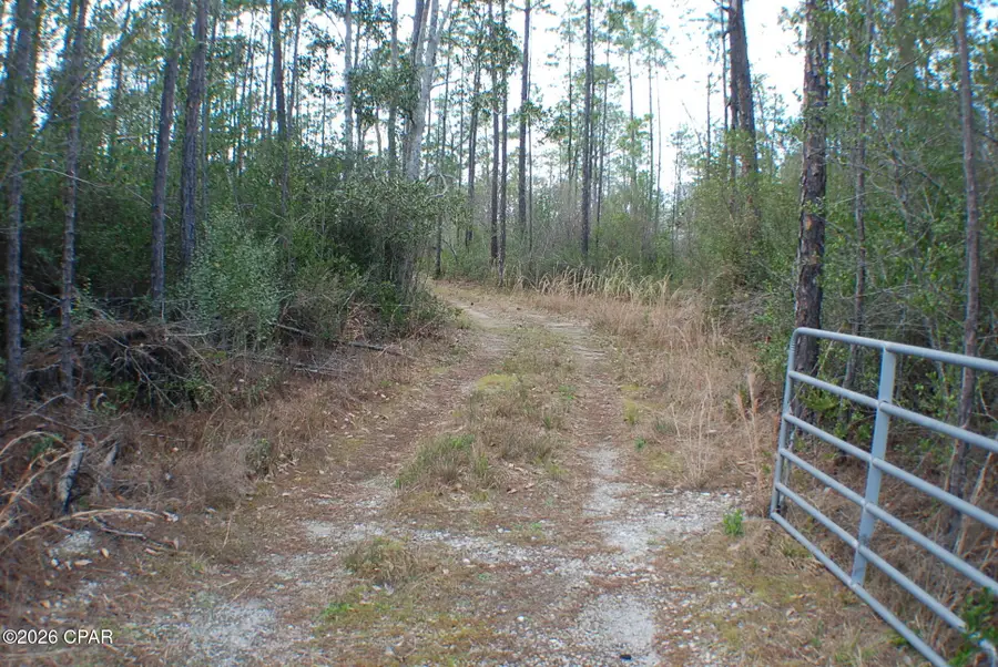 0 Dickerson Road, Fountain, FL 32438 - #3