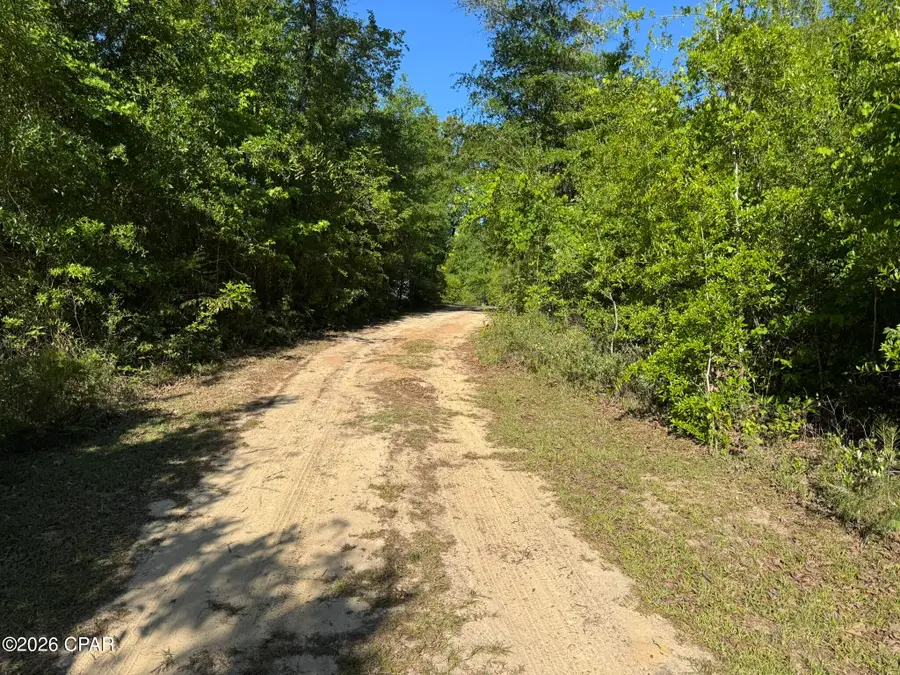 3651 River Road, Sneads, FL 32460 - #2