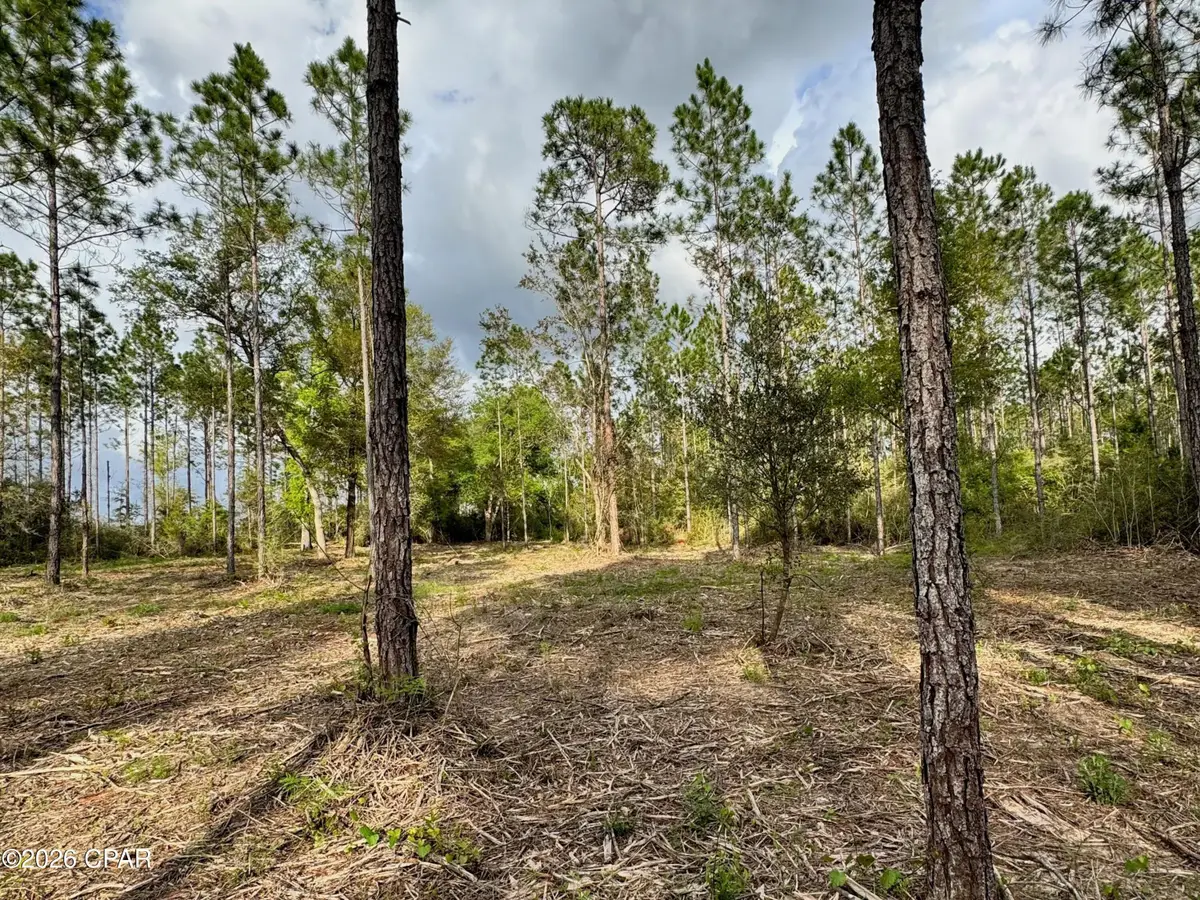 Lot 9 Pleasant Hill Road, Bonifay, FL 32425 - #1