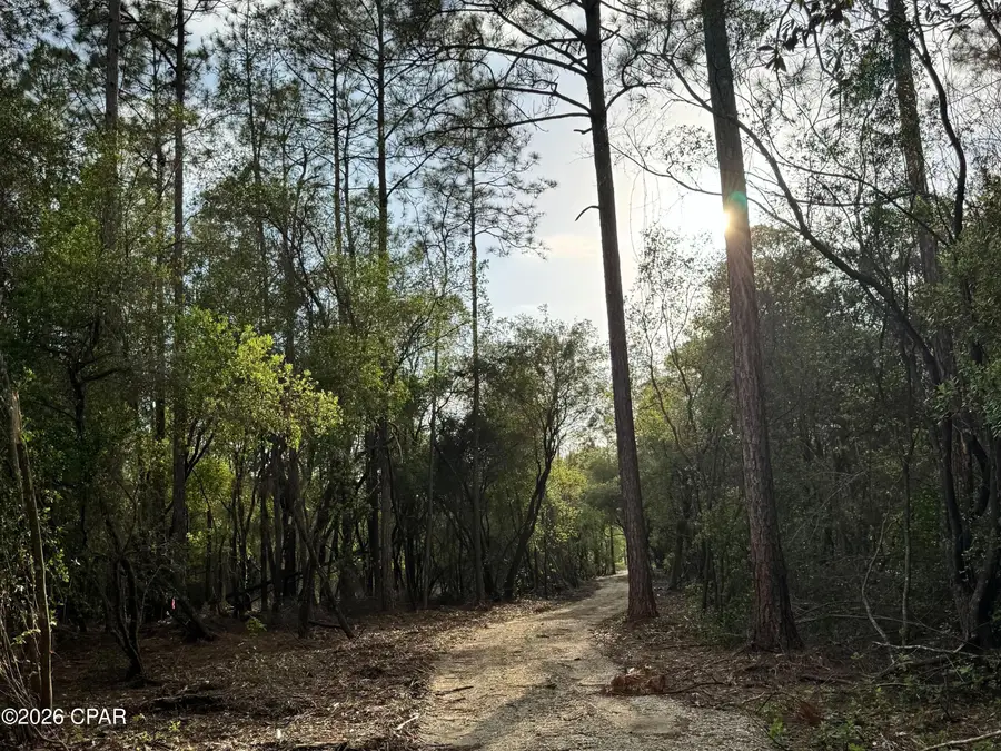 Lot 9 Pleasant Hill Road, Bonifay, FL 32425 - #2