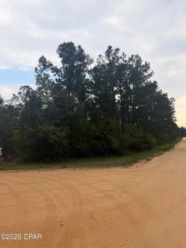 000 Deshutes Drive, Alford, FL 32420