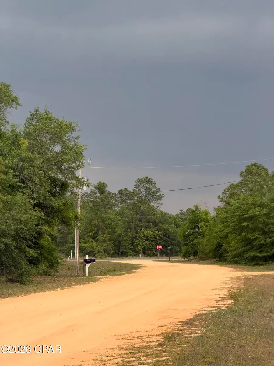 000 Deshutes Drive, Alford, FL 32420 - #2