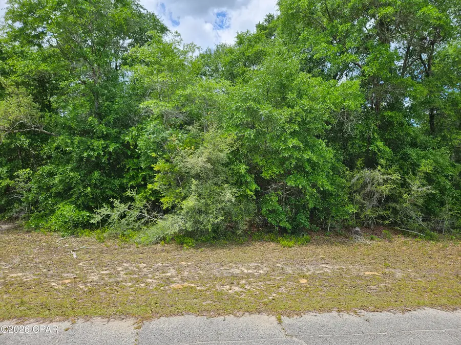 Lot 06 Malone Place, Chipley, FL 32428 - #2