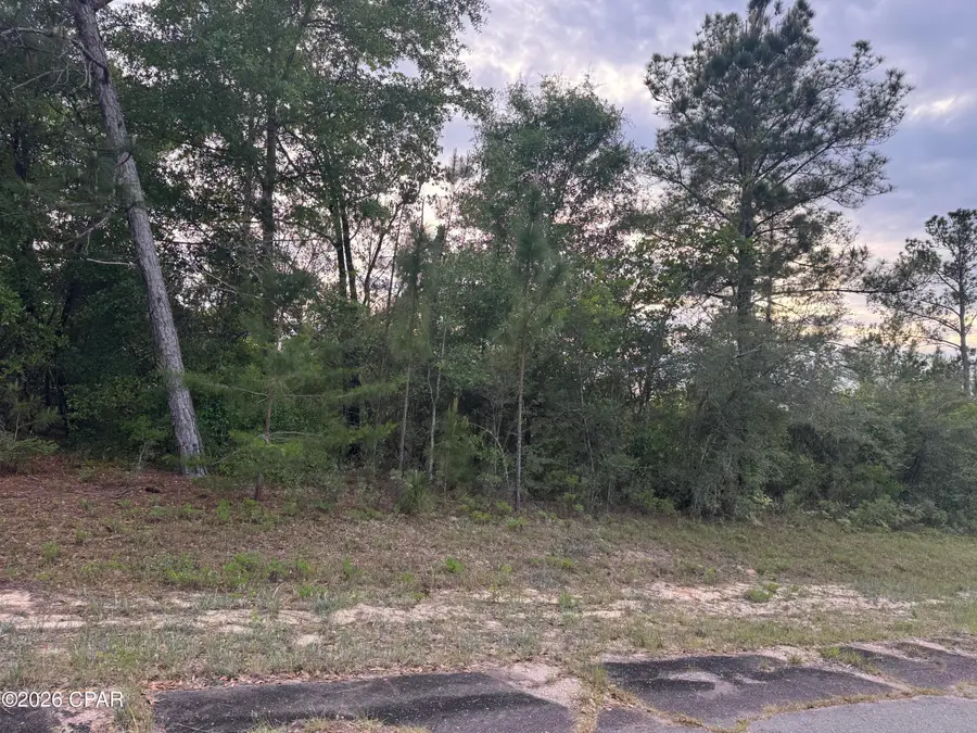 0000 Alhambra Drive, Chipley, FL 32428 - #2