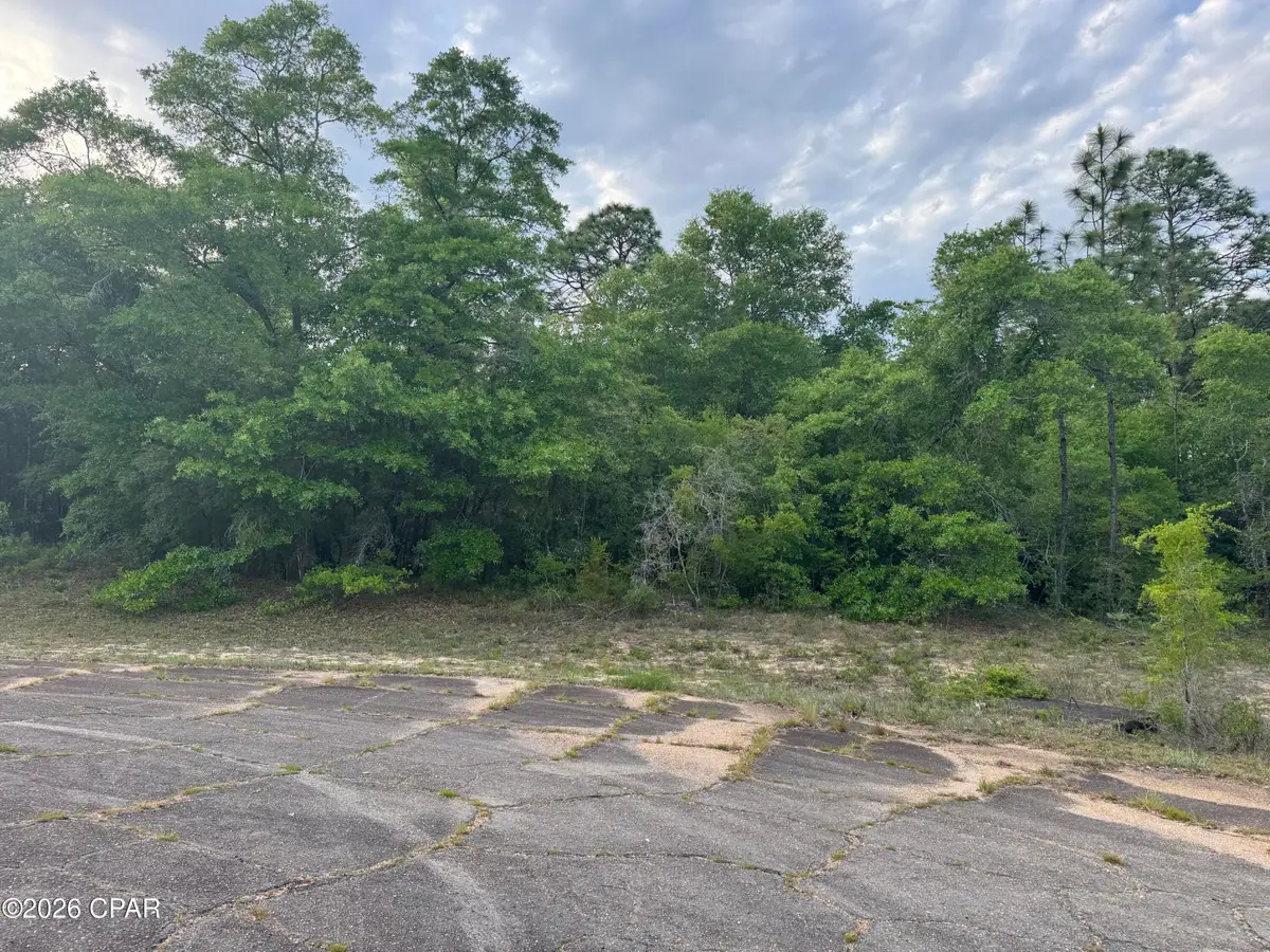 0000 Devonshire Drive, Chipley, FL 32428 - #1