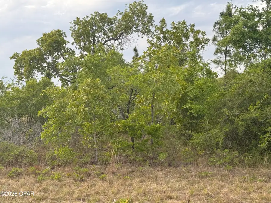 0000 Linden Street, Chipley, FL 32428 - #3