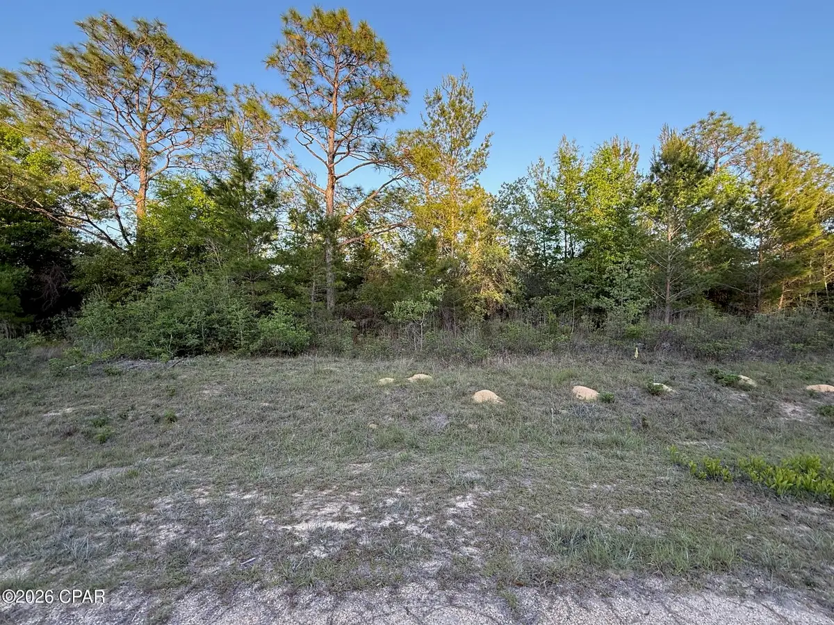 4131 Cambridge Drive, Chipley, FL 32428 - #1