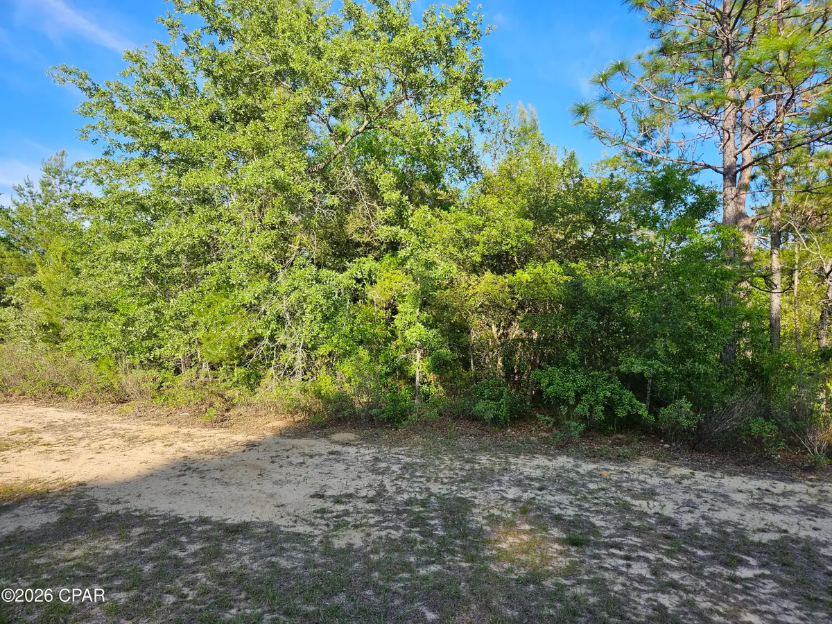 Lot 29 Concord Boulevard, Chipley, FL 32428 - #1