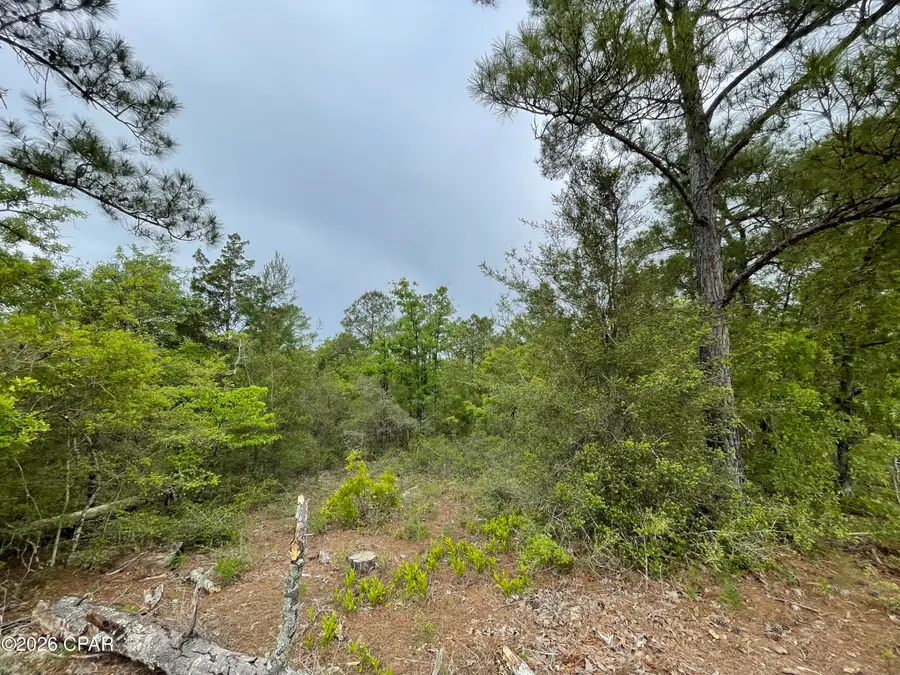 0000 Marville Drive, Marianna, FL 32448 - #2