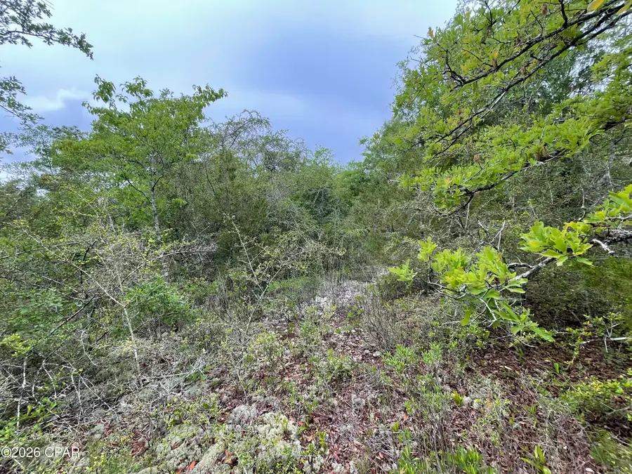 0000 Marville Drive, Marianna, FL 32448 - #3