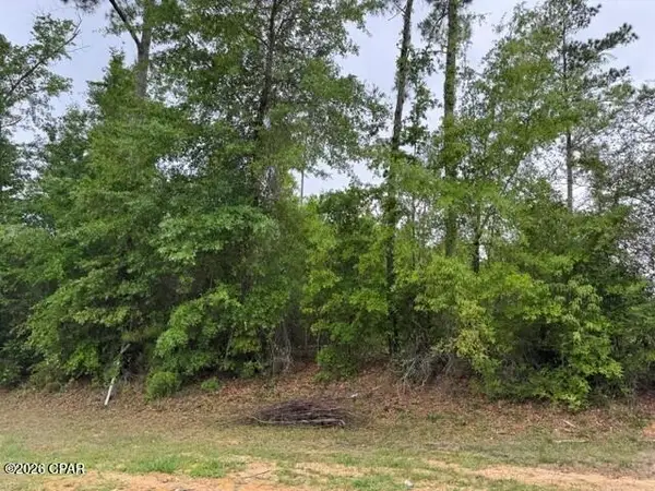 000 W Lakeview Drive, Wewahitchka, FL 32465