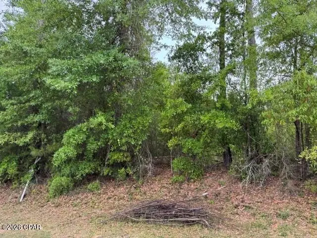 000 W Lakeview Drive, Wewahitchka, FL 32465 - #2