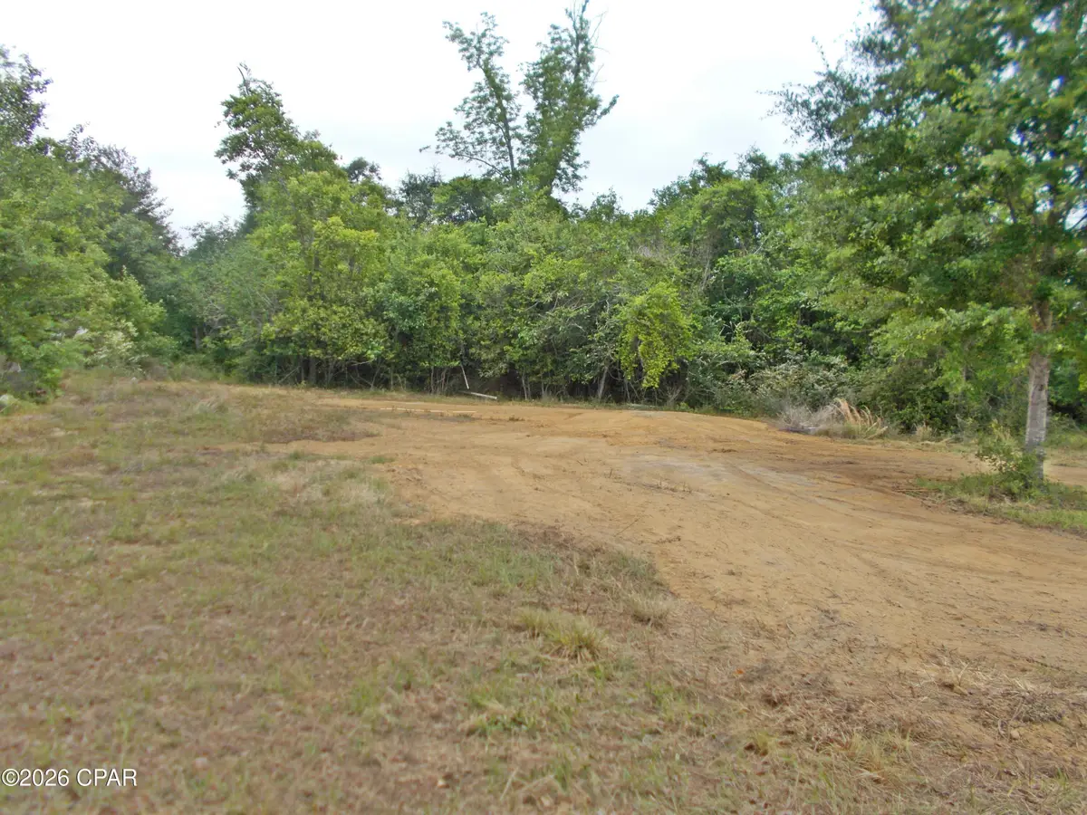 1817 Destiny Lane, Marianna, FL 32448 - #1