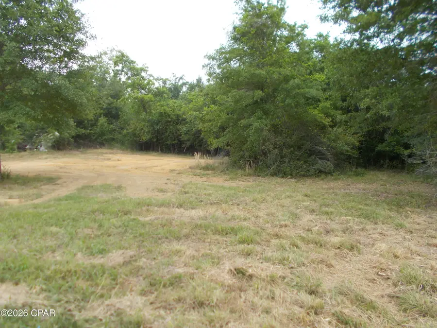 1817 Destiny Lane, Marianna, FL 32448 - #3