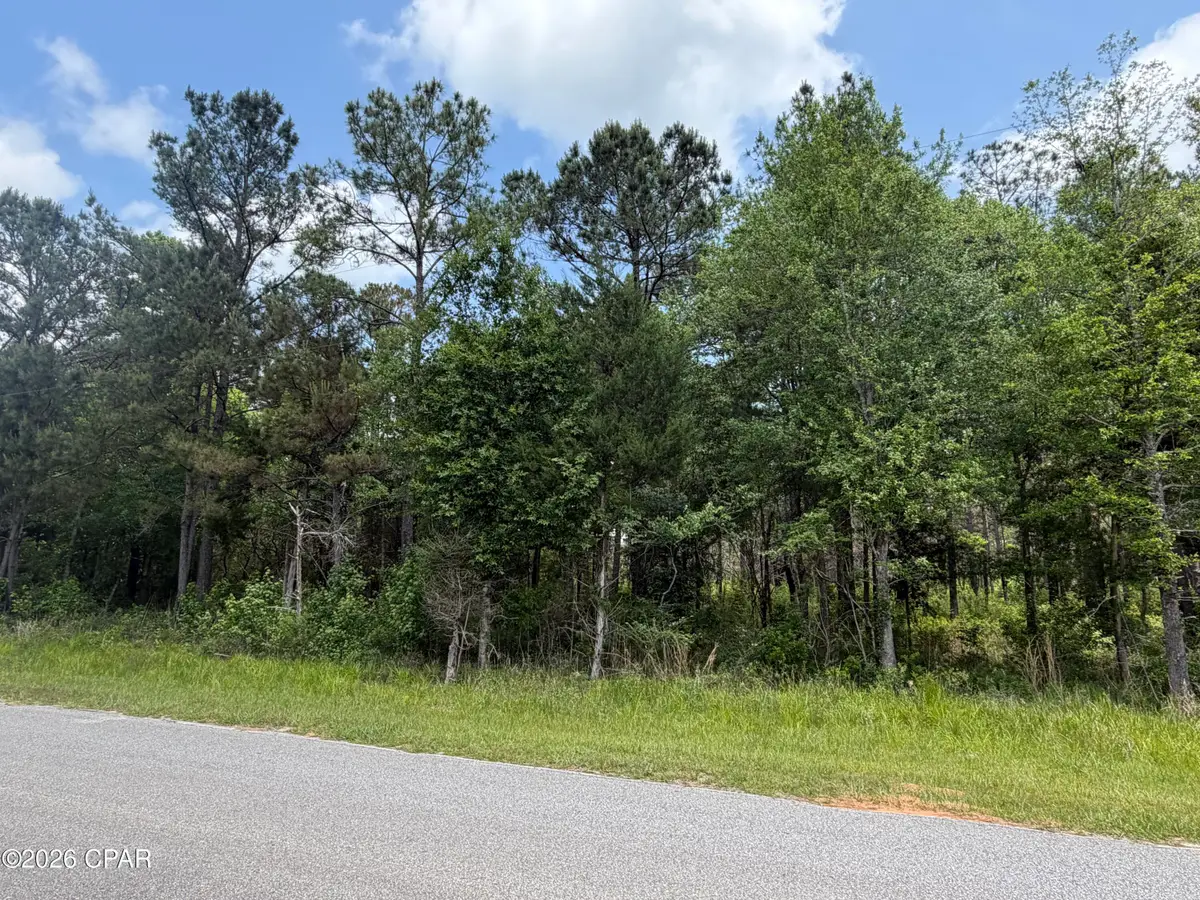 000 Parrish Still Road, Vernon, FL 32462 - #1