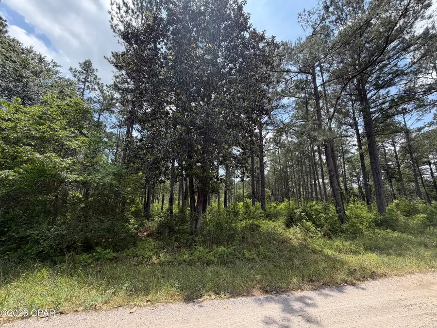 000 Parrish Still Road, Vernon, FL 32462 - #3