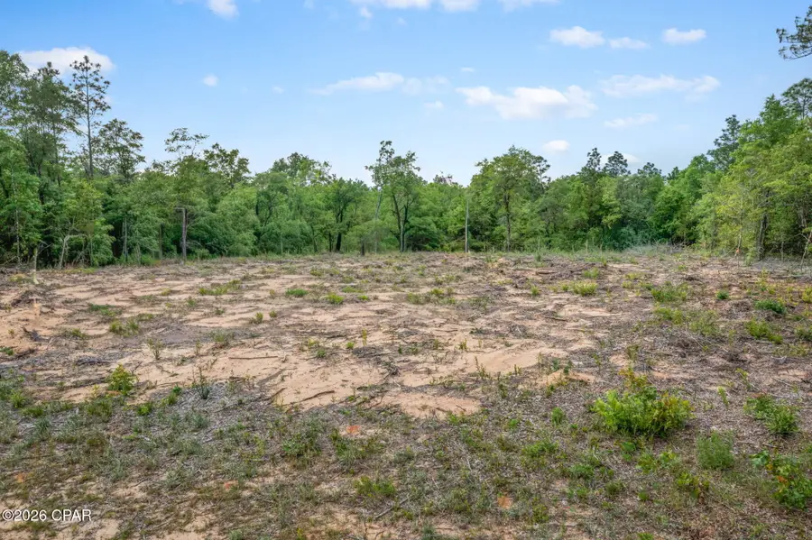 XXX Country Club Boulevard, Chipley, FL 32428 - #2