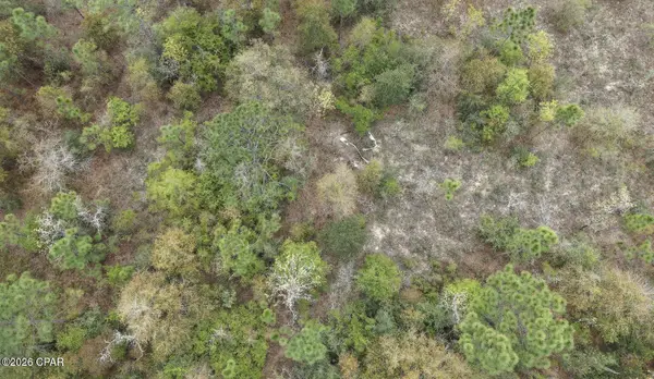 Lot 4 Shelby Court, Chipley, FL 32428