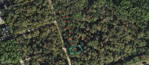 Lot 4 Fig Tree Lane, Crawfordville, FL 32327