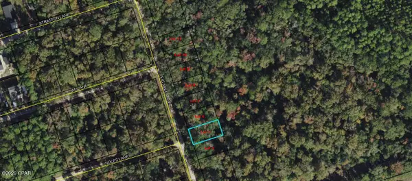 Lot 5 Fig Tree Lane, Crawfordville, FL 32327