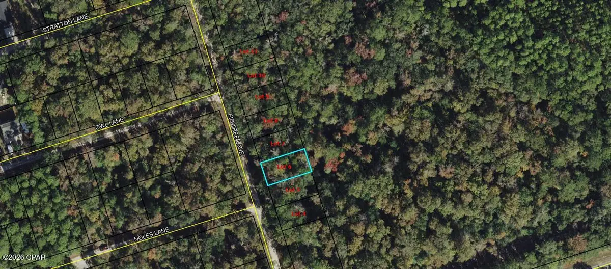 lot 6 Fig Tree Lane, Crawfordville, FL 32327 - #1
