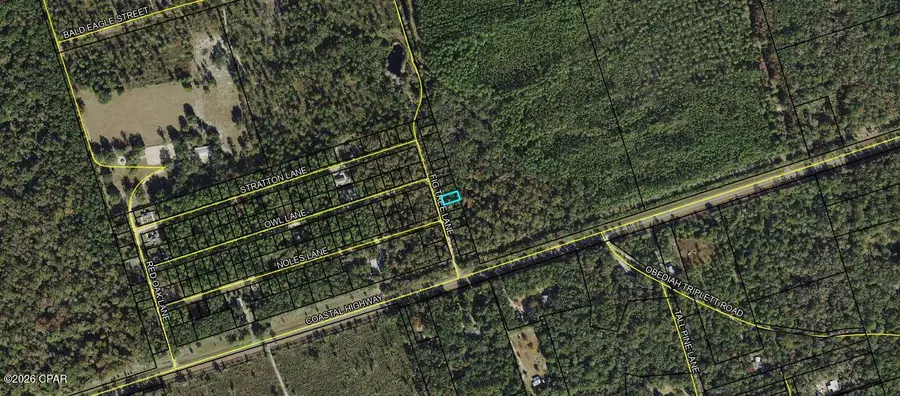 Lot 7 Fig Tree Lane, Crawfordville, FL 32327 - #2