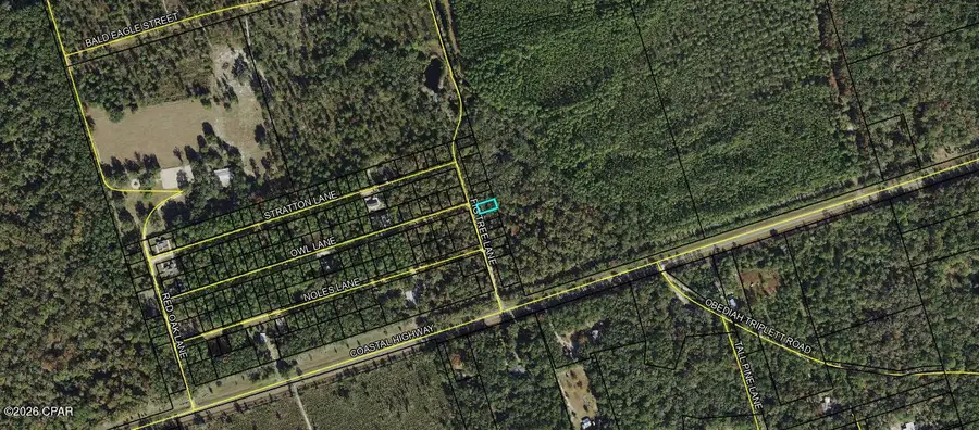 Lot 9 Fig Tree Lane, Crawfordville, FL 32327 - #2