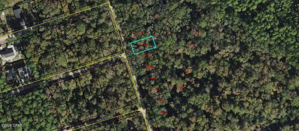 Lot 10 Fig Tree Lane, Crawfordville, FL 32327