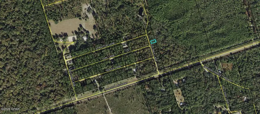 Lot 11 Fig Tree Lane, Crawfordville, FL 32327 - #2