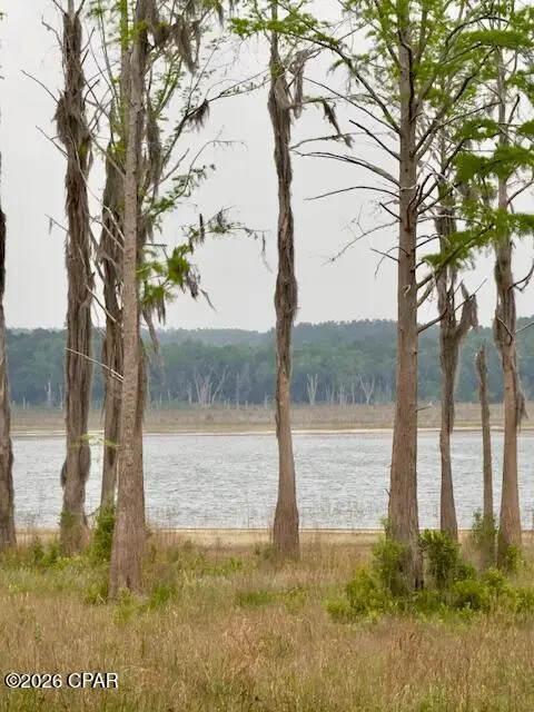 TBD Lakeshore Drive, Chipley, FL 32428